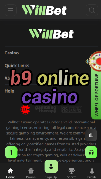 B9 Online Casino - Premium Digital Gaming Experience-casinoorder.vip